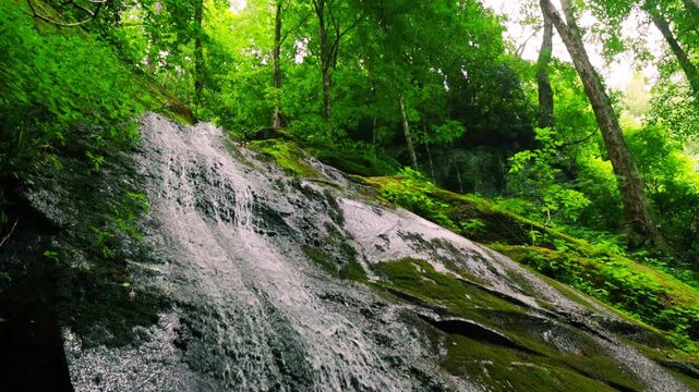 Closeup of Porters Creek Sliding Down The Moss Covered Granite Wall at Fern Branch Falls, Greenbrier, Great Smoky Mountains National Park, Tennessee, USA