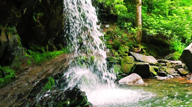 The Trillium Gap Trail Passes Behind Grotto Falls In The Roaring  Fork Nature Area, Great Smoky National Park, Tennessee, USA