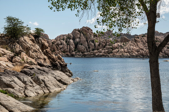 lumpy bay