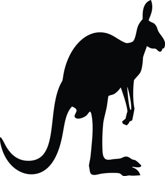 Black kangaroo silhouette icon isolated on white background for wildlife graphic design projects featuring a standing marsupial shape in minimalist style