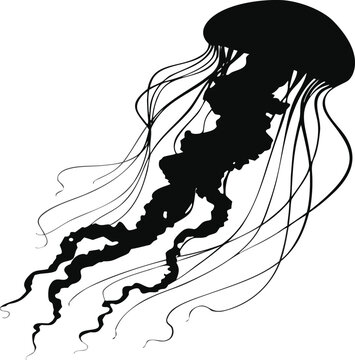 Minimalist black jellyfish silhouette graphic design featuring flowing tentacles isolated on a clean white background for artistic marine illustrations