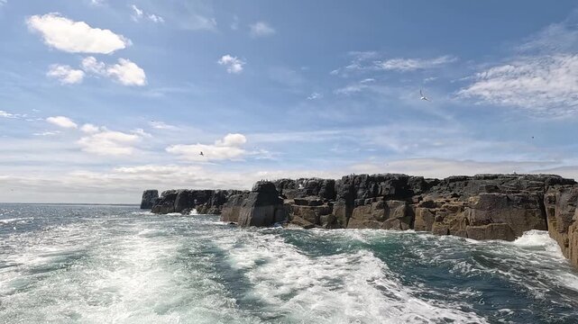 Motoring away from Staple Island, seabirds soar overhead as the boat cruises through the Farne Islands on a sunny day, offering unforgettable birdwatching and spectacular coastal wildlife views.