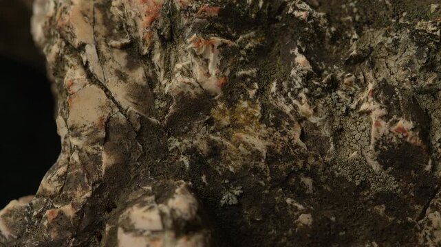 Close-up mineral rock surface with mixed colors and rough texture