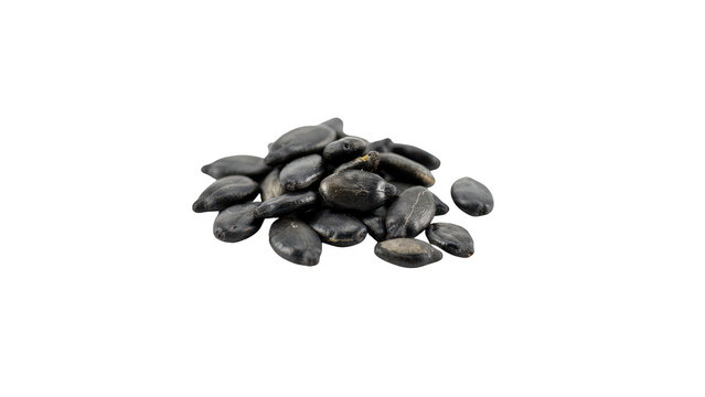 A small pile of dried black watermelon seeds arranged in a heap isolated on a solid black background, for healthy snack food
