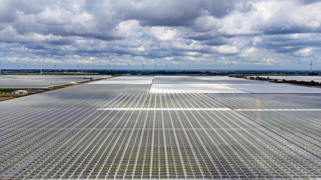 Aerial view of extensive glass greenhouses stretching across the agricultural landscape with wind turbines in the distance under a cloudy sky in Middenmeer, North Holland, Netherlands.