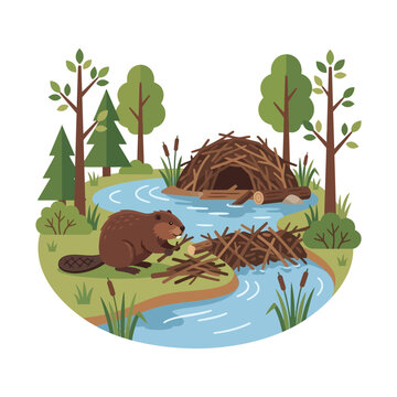 Beaver building dam in forest river vector, wild animal habitat with lodge and trees, flat nature landscape illustration