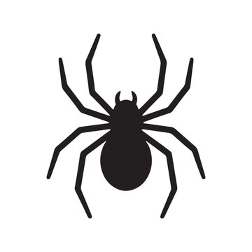 Black spider silhouette icon for creepy halloween decor with halloween arachnid silhouette isolated
