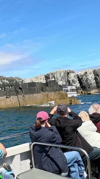 Seabird boat tour around the Farne Islands, tourists photographing seabirds perched on rugged cliffs, capturing wildlife moments, sunny coastal cruise, North East England seascape, marine nature exper