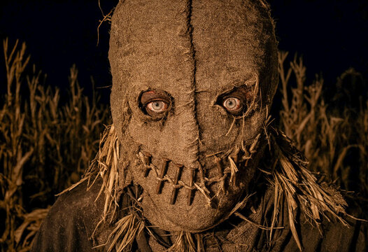 Scary Scarecrow Portrait with B burlap Mask and Twine Stitches