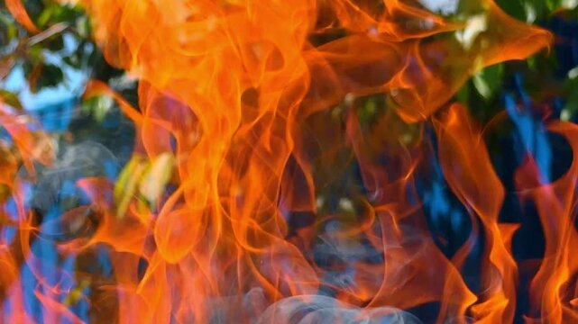 Bright fire flames with smoke rising from burning wood. Blazing campfire close up texture with soft white smoke against dark blue background.