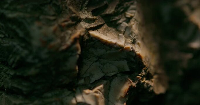 Close-up cracked rock layers with sharp edges and depth