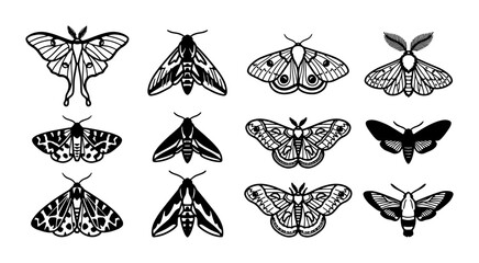 Elegant Moth Illustrations, Vector Set: Delicate Insect Designs for Nature and Tattoo Art © Faisal