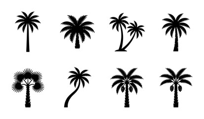 Fototapeta premium Palm Tree Silhouettes: Tropical Vector Icons Set, Exotic Flora Collection, Summer Vacation Graphics
