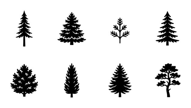 Set of 8 Black Pine Tree Silhouettes, Evergreen Forest Icons, Nature Vector Graphics, Woodland Elements