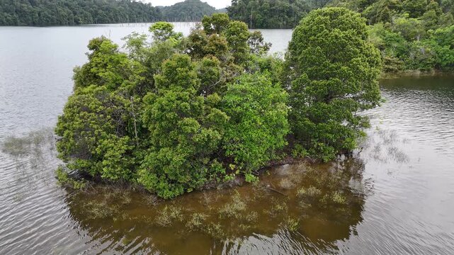 Cinematic aerial retreat from a tiny rainforest island in the Petit Saut reservoir, French Guiana. Calm water, lush tropical forest and untouched wilderness.