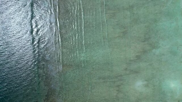 Wildlife sea turtle swimming in clear tropical water. Perfect aerial view drone