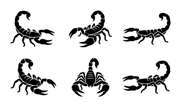 Scorpion Vector Icons Set: Black Silhouettes for Wildlife, Danger, and Zodiac Graphics