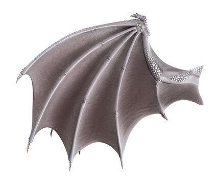 3d render fantasy ivory dragon wings isolated