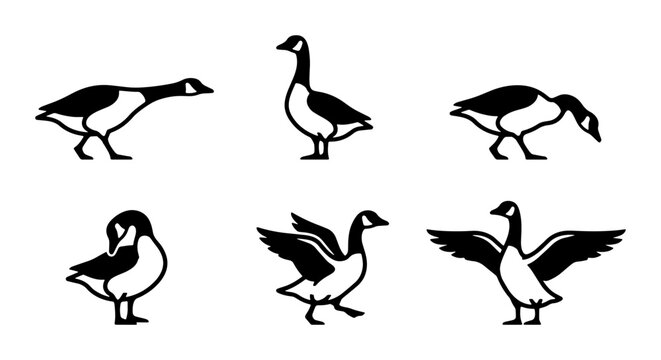 Canada Goose Vector Icons Set: Diverse Poses for Wildlife and Nature Designs