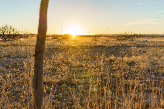 Golden morning sunlight desert view with copy space. West Marfa, Texas.