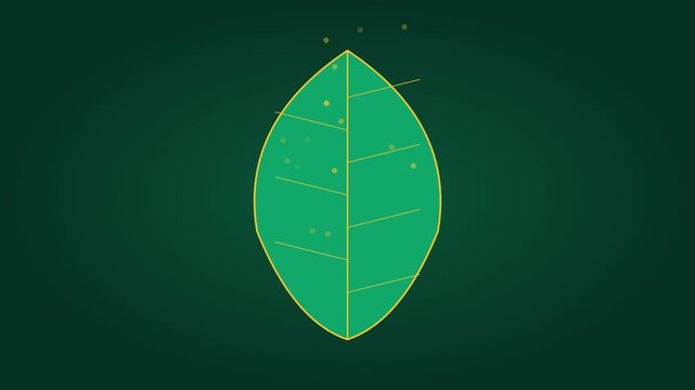 Minimalist green leaf animation with floating particles on dark 4k background, nature ecology