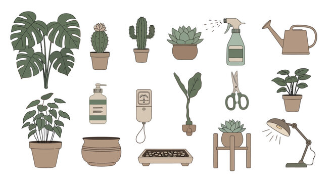 Indoor gardening tools and potted succulents illustrated collection for plant care and home decor