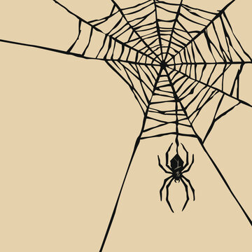 Spider web and spider silhouette on beige square background have blank space.