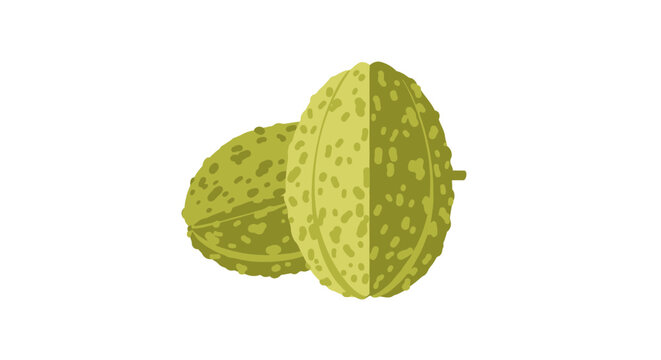 Fresh West Indian gherkin icons isolated on a white background