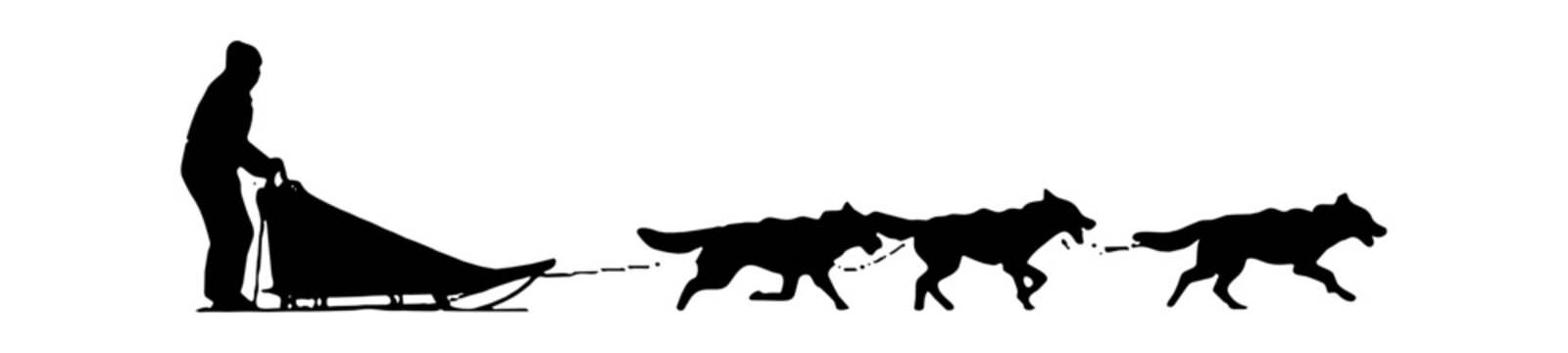 Black silhouette of a dog sled team with a musher and three huskies running in the winter snow isolated on transparent background, Vector