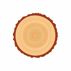 Fototapeta premium Flat Tree Ring Cross Section