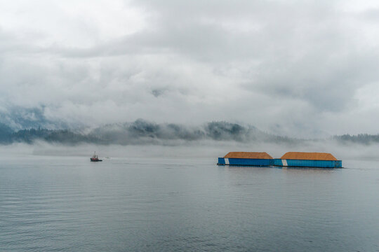 Canada, BC, Sechelt, Sunshine Coast.  Classic coastal scene of tugboat towing barges full of wood chips.  En route to nearby pulp and paper mill.