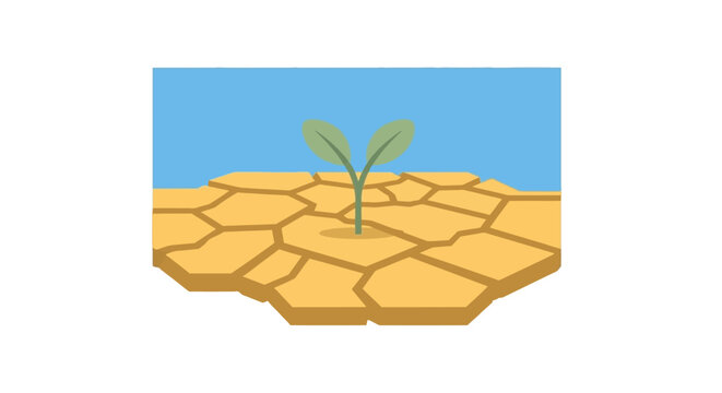 Small green plant growing in dry cracked soil.