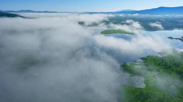 Aerial view of misty lush wetlands from a bird's eye view. Filmed in 4k, drone video.