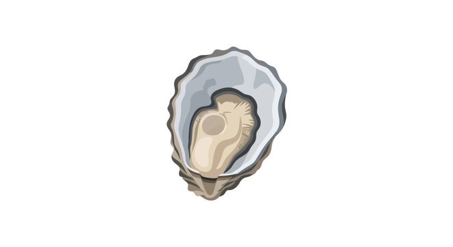 Fresh oyster shell with pearl inside isolated.
