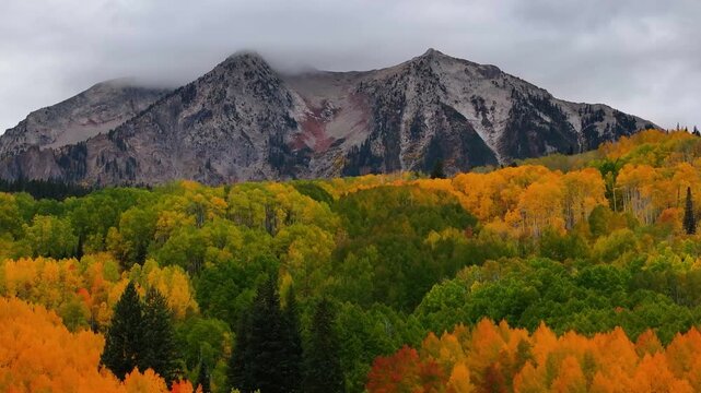Aerial view of Ruby Peak Mountain with fall foliage tree tops landscape along Kebler Pass road near Crested Butte, Colorado during autumn season with morning sunrise - 4K Drone