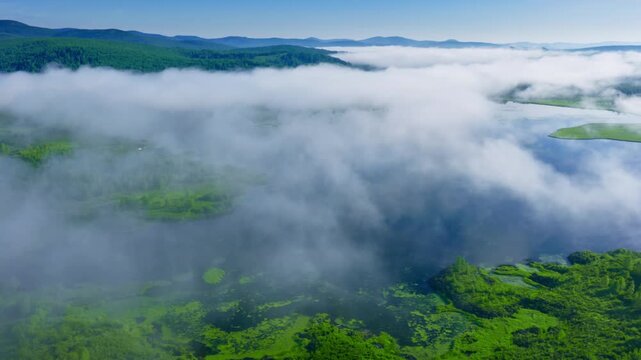 Aerial shot of foggy wetlands from a bird's eye view.Filmed in 4k, drone video.