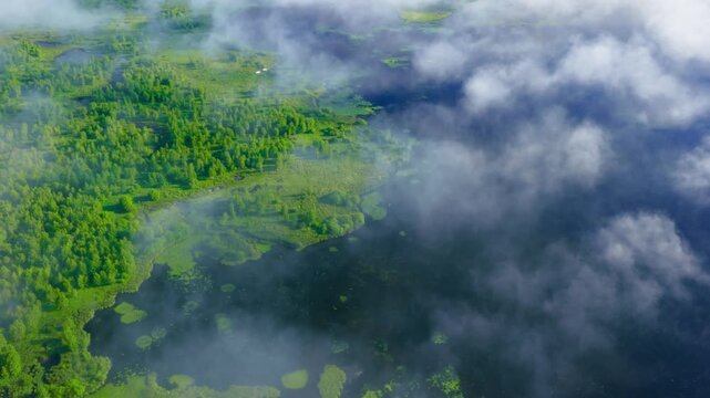 Aerial shot of foggy wetlands from a bird's eye view.Filmed in 4k, drone video.