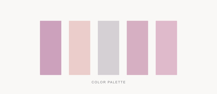 Pastel color palette with five different shades displayed on a light background
