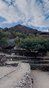 Stone ruins and cardon cactus in the ancient landscape of Quilmes, a pre-Inca archaeological site in Tucuman, Argentina
