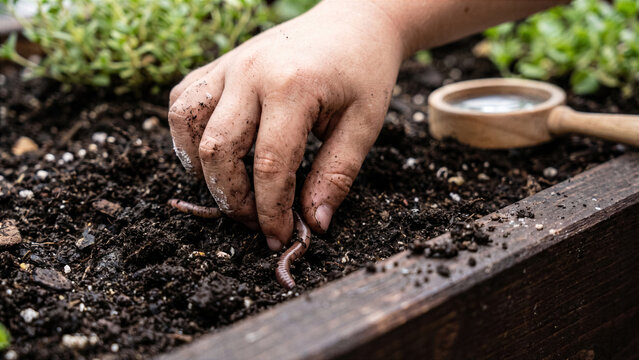 Child hands digging into dark organic soil on apartment roof deck eco education childhood concept