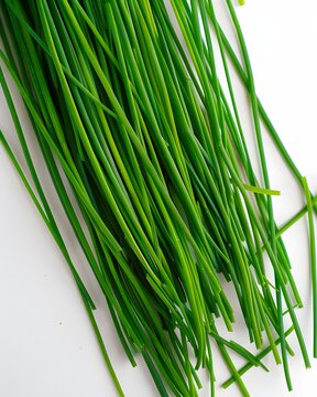 chive stems macro texture isolated on white background
