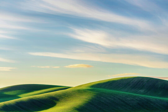 green field and blue sky
