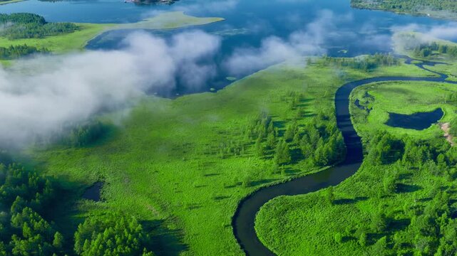 Aerial perspective of meandering river in green wetland