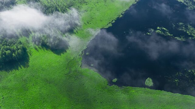 Aerial view of misty wetland with lake and forest