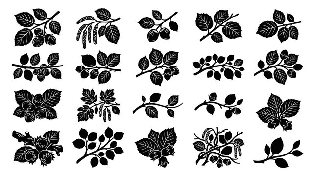 Hazelnut and Catkin Branches Black  White Silhouette Icons. Nature Botany Food Glyphs Collection.
