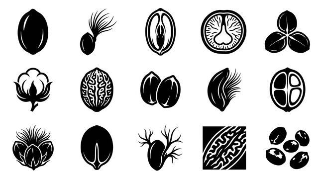 Black and White Icons of Seeds and Nuts for Food and Agriculture