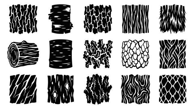 Black and White Vector Set of Tree Bark Textures and Wood Grain Patterns