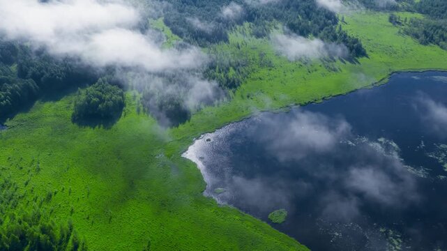 Aerial view of misty wetland with lake and forest