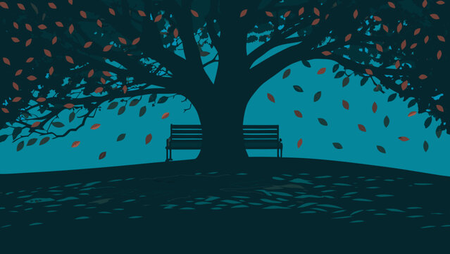 tree in the night