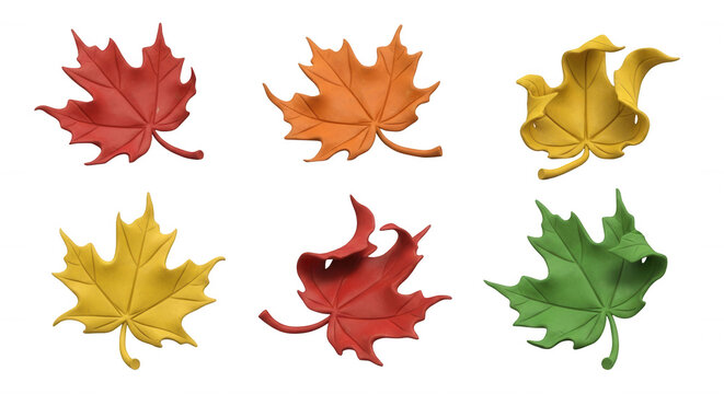 colorful maple leaves in various positions on white background for seasonal graphic design